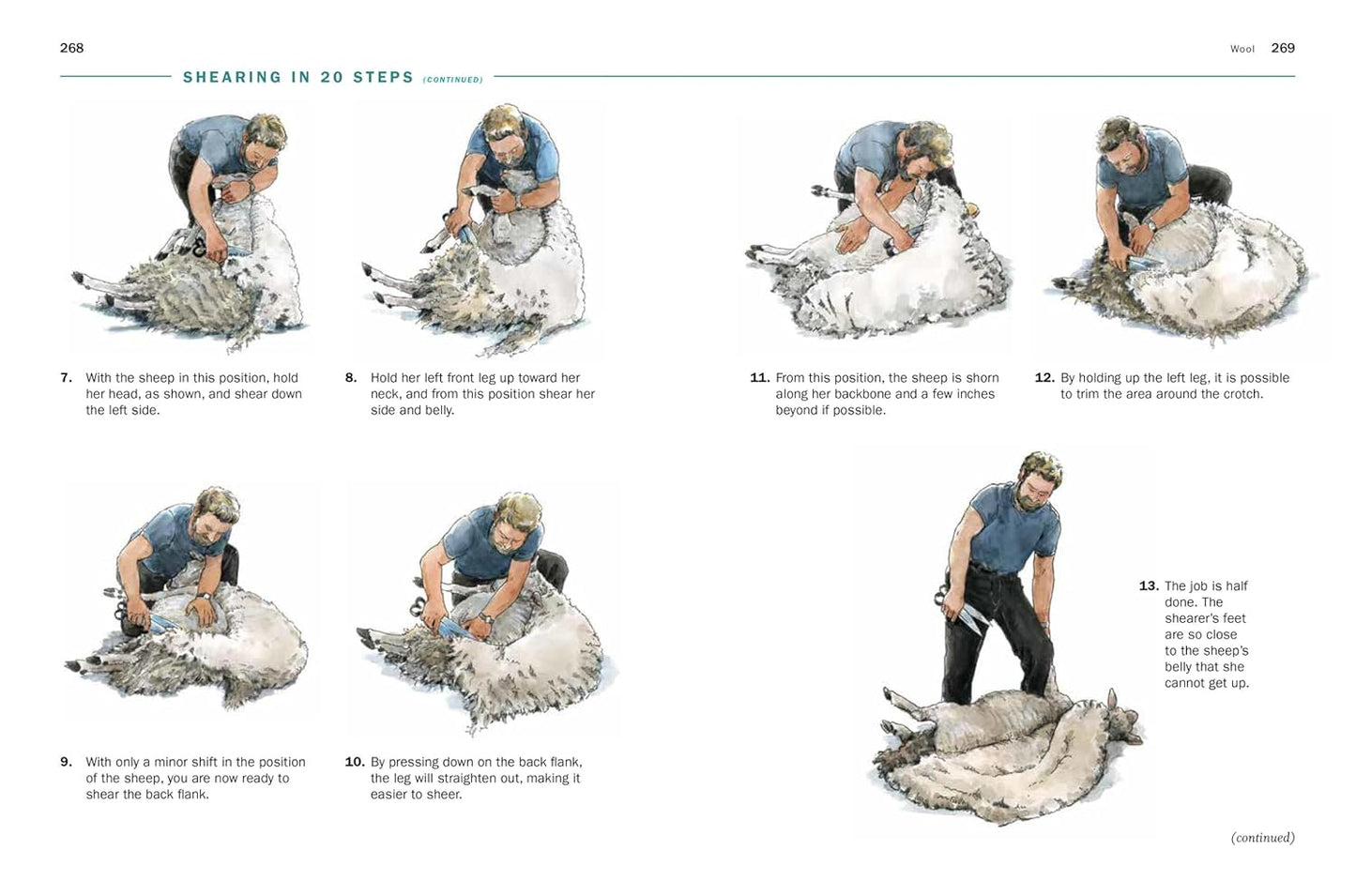 Storey's Guide to Raising Sheep, 5th Edition: Breeding, Care, Facilities