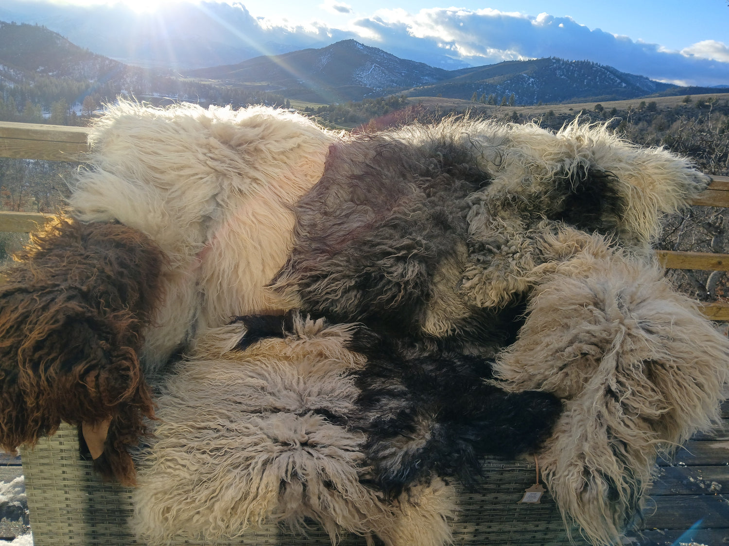 Icelandic Sheep Pelts