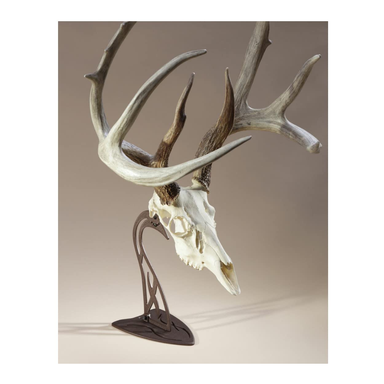 Skull Hooker Table Hooker Powder Coated Steel Trophy Mount - Perfect Kit for Table Display of Taxidermy Deer Antlers and Other Skulls - Available in Graphite Black and Robust Brown