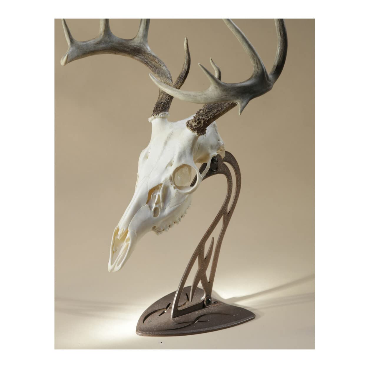 Skull Hooker Table Hooker Powder Coated Steel Trophy Mount - Perfect Kit for Table Display of Taxidermy Deer Antlers and Other Skulls - Available in Graphite Black and Robust Brown