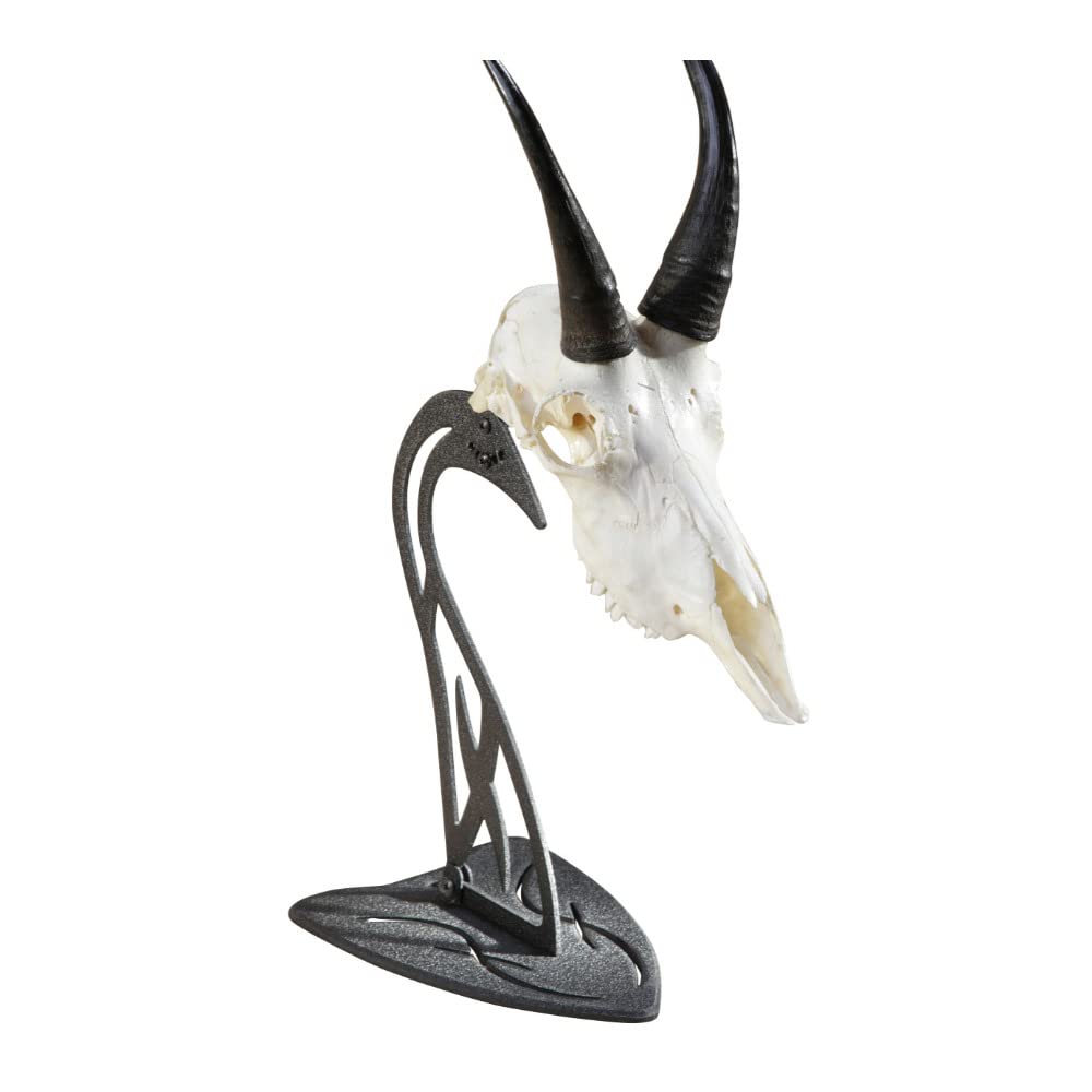 Skull Hooker Table Hooker Powder Coated Steel Trophy Mount - Perfect Kit for Table Display of Taxidermy Deer Antlers and Other Skulls - Available in Graphite Black and Robust Brown