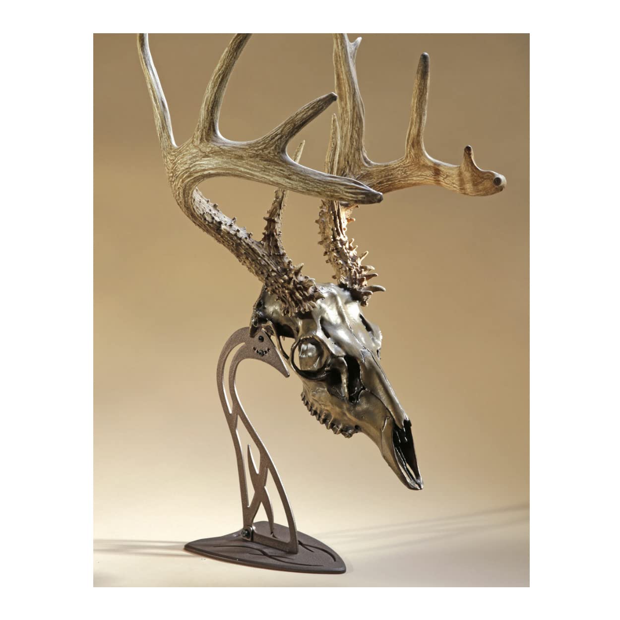 Skull Hooker Table Hooker Powder Coated Steel Trophy Mount - Perfect Kit for Table Display of Taxidermy Deer Antlers and Other Skulls - Available in Graphite Black and Robust Brown