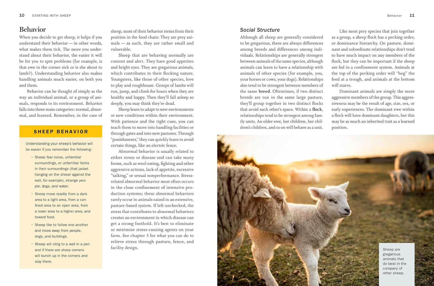 Storey's Guide to Raising Sheep, 5th Edition: Breeding, Care, Facilities