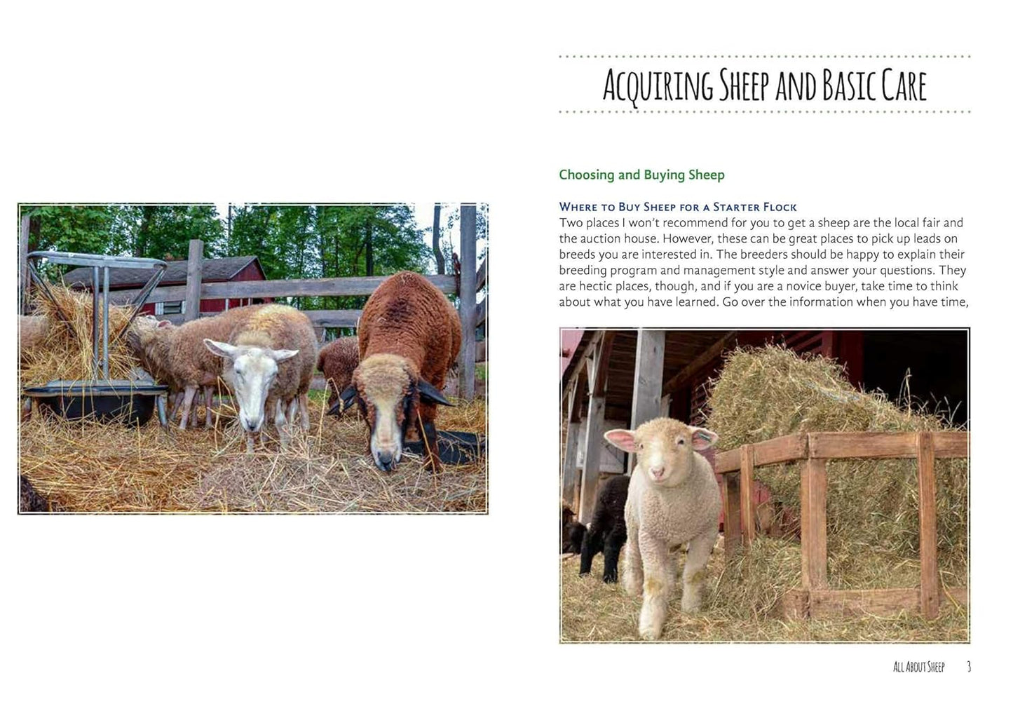 The Good Living Guide to Keeping Sheep and Other Fiber Animals: Housing, Feeding, Shearing, Spinning, Dyeing, and More