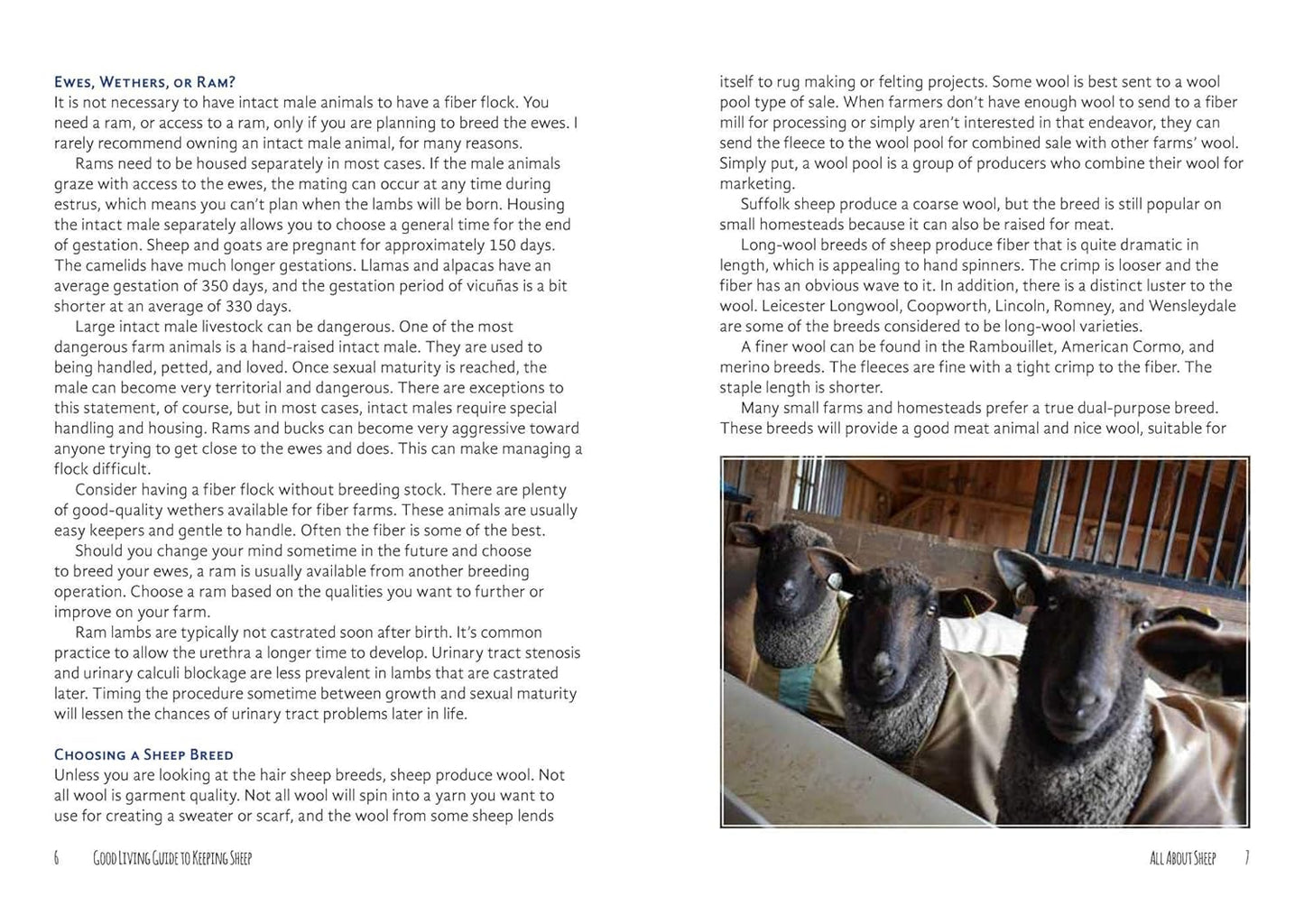The Good Living Guide to Keeping Sheep and Other Fiber Animals: Housing, Feeding, Shearing, Spinning, Dyeing, and More