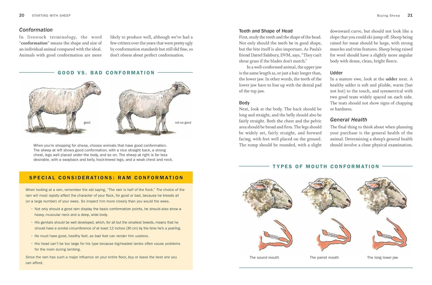 Storey's Guide to Raising Sheep, 5th Edition: Breeding, Care, Facilities