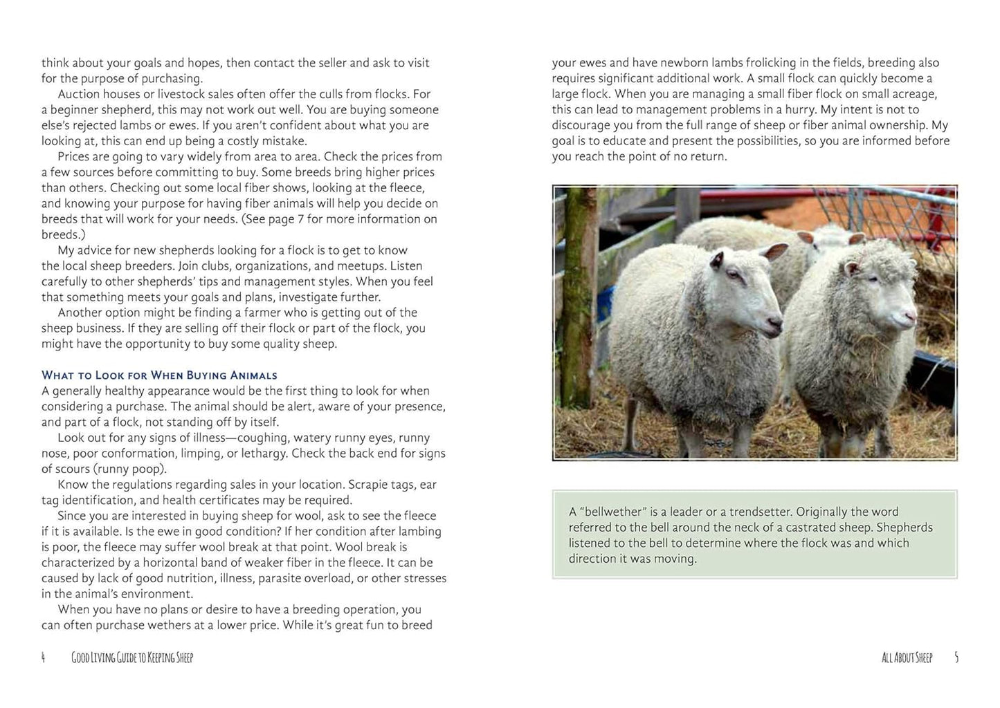 The Good Living Guide to Keeping Sheep and Other Fiber Animals: Housing, Feeding, Shearing, Spinning, Dyeing, and More