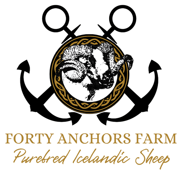 Forty Anchors Icelandic Sheep
